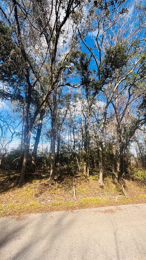 lot S 641639637 Marshall Ave, Holiday Lakes, TX 77515