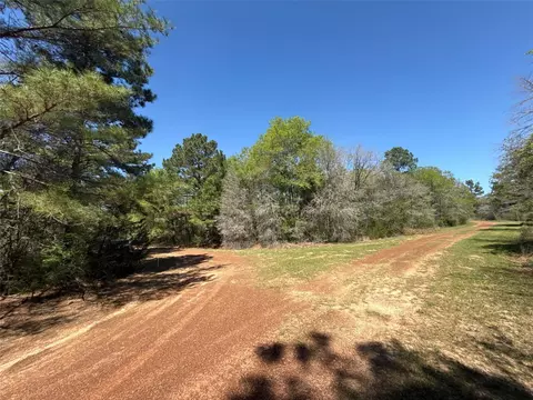 26842 Eagle Dr, Hempstead, TX 77445 photo 4