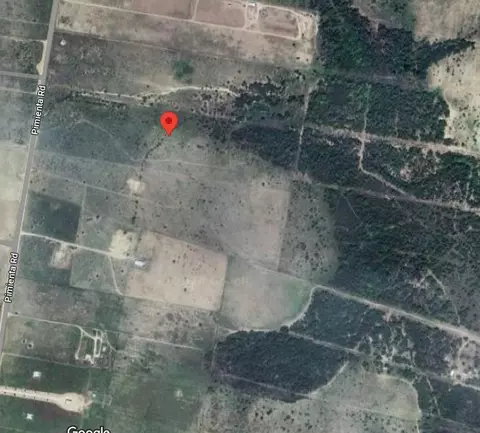 1770 Pimienta Rd, Rio Grande City, TX 78582