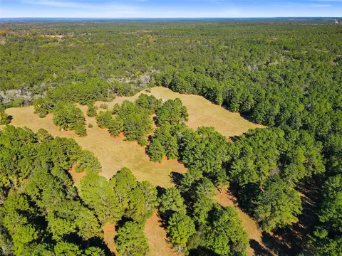 tbd Chandler Ln, Huntsville, TX 77320
