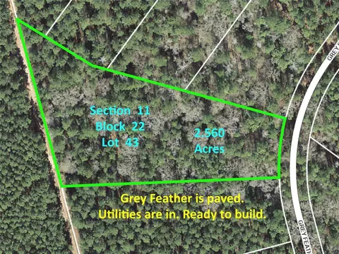215 Grey Feather Rd, Huntsville, TX 77340