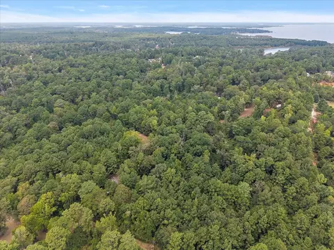 0 Rods Rd, Hemphill, TX 75948 photo 5