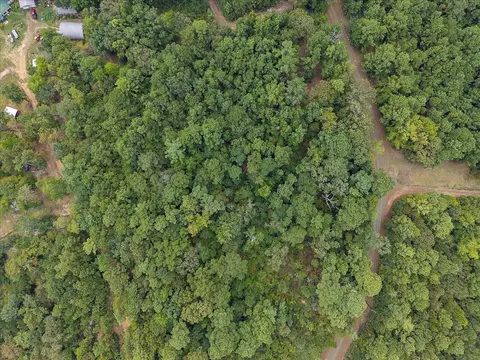 0 Rods Rd, Hemphill, TX 75948 photo 10