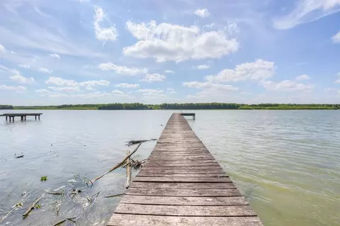 163 Deerwood Trl, Trinity, TX 75862 photo 13