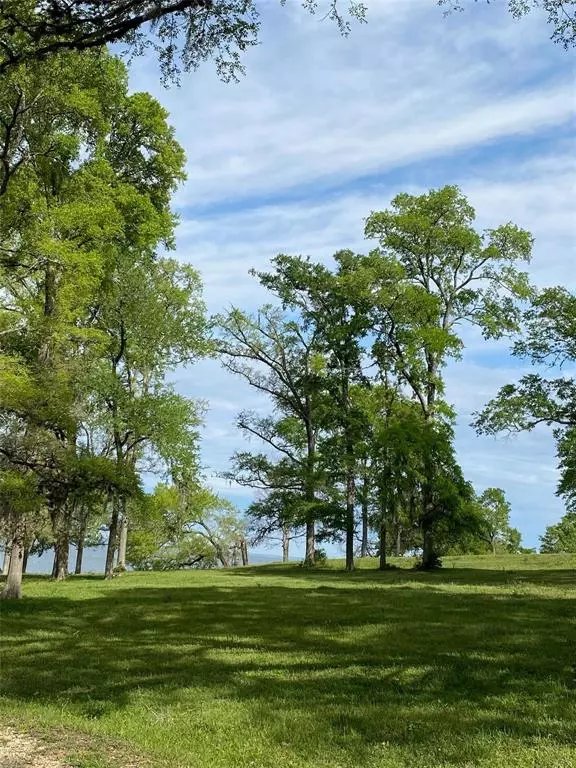 View/Area - 980 Hill Farm Rd, Coldspring, TX 77331 photo 4 of 5