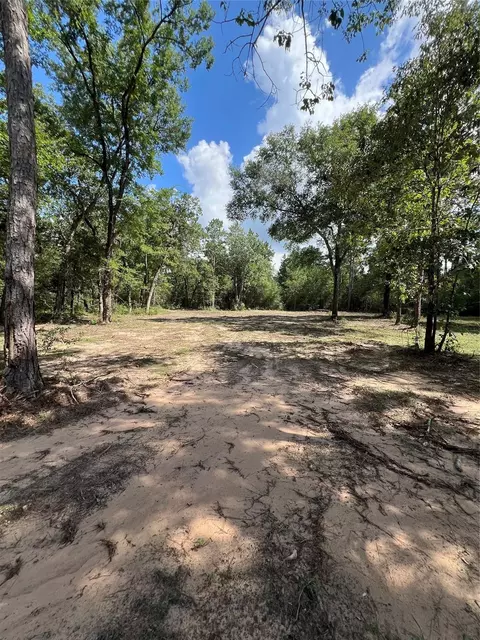 tbd Lot 2 Deerwood Dr, Plantersville, TX 77363