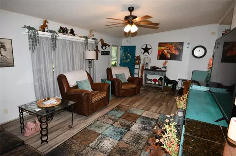 Other - 101 Pinewood Dr, Shepherd, TX 77371 photo 3 of 11