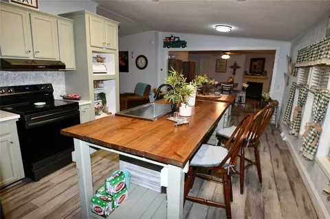 Kitchen - 101 Pinewood Dr, Shepherd, TX 77371 photo 3 of 3