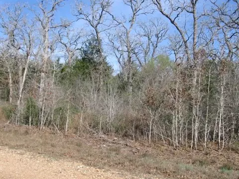 100 Rainbow Cir, Somerville, TX 77879