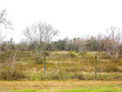 27235 Fm-2004, Angleton, TX 77515