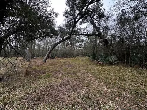 0000 County Road 409, Sweeny, TX 77480 photo 6