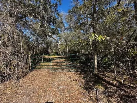 0000 County Road 409, Sweeny, TX 77480 photo 7