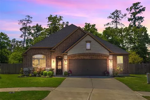 3300 Hickory Leaf Trl, Conroe, TX 77301 photo 1