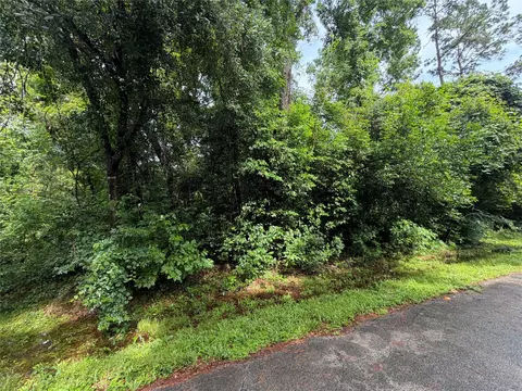 lot20 Idlewild Rd, New Caney, TX 77357