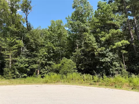 97-22 19 Granite Rd, Huntsville, TX 77340