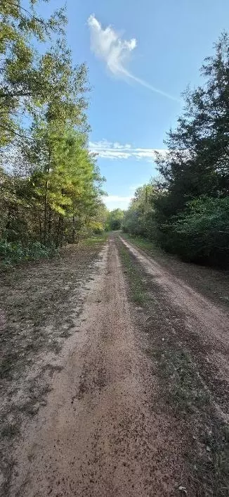 00 Eagle Dr, Waller, TX 77445 photo 5