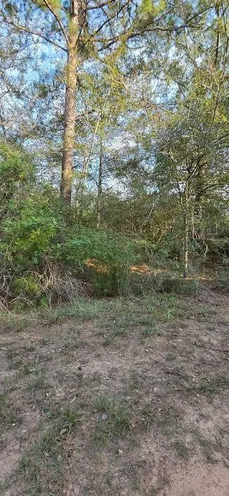 00 Eagle Dr, Waller, TX 77445 photo 6