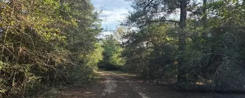 00 Eagle Dr, Waller, TX 77445 photo 4