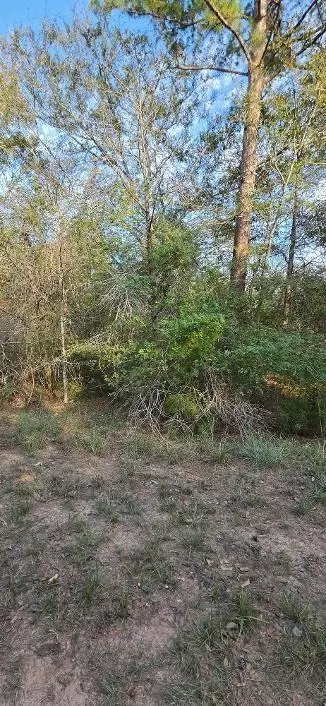 00 Eagle Dr, Waller, TX 77445 photo 2
