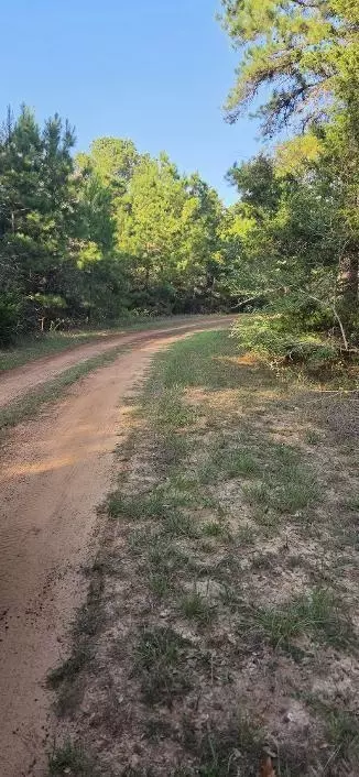 00 Eagle Dr, Waller, TX 77445 photo 3
