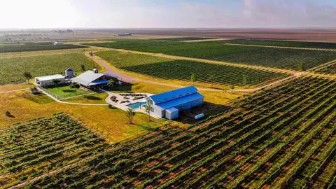 374 Fm 1317, Tahoka, TX 79373