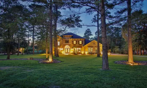 28733 Lakeside Grn, Magnolia, TX 77355