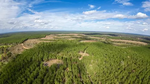 462 Timber Rd, Livingston, TX 77351