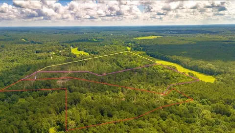 tbd Lot 001 Holland Rd, Moscow, TX 75960