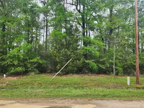 tbd Cloverdale, Livingston, TX 77351
