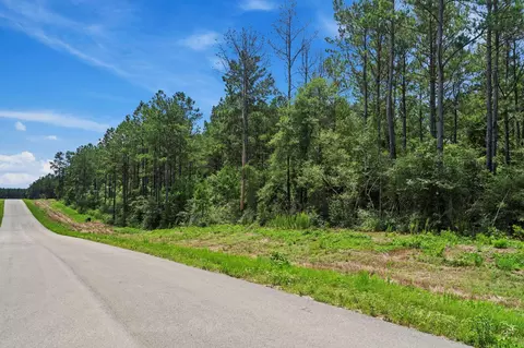 16303 Golden Wood Ct, Willis, TX 77378