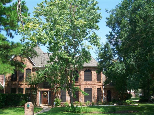 8218 Pheasant Glen Dr, Spring, TX 77379 photo 1