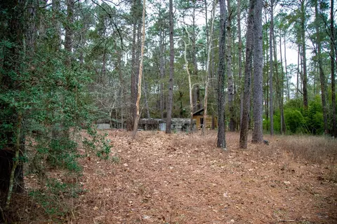 16438 Grand Flower Rd, Plantersville, TX 77363