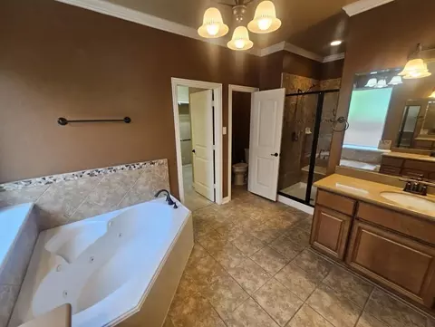 Bath - 110 David Forest Ln, Conroe, TX 77384 photo 3 of 5