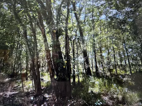 lot823 Eskimo Lane Path, Angleton, TX 77515 photo 2