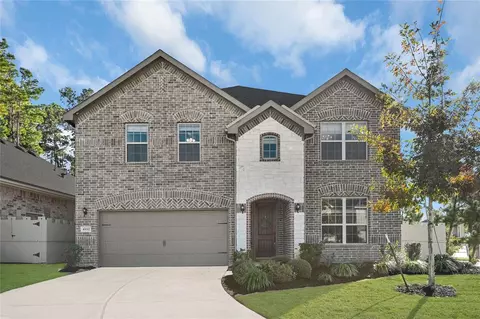 10052 Red Beadtree Pl, Conroe, TX 77385 photo 1