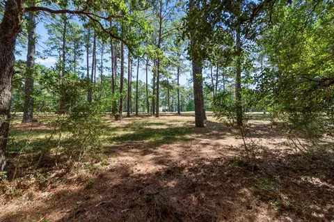 37432 Clubhouse Ln, Montgomery, TX 77355