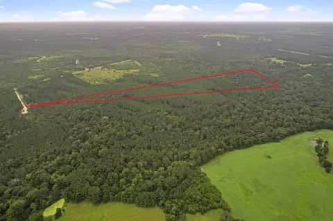 11 Farm To Market 230, Lovelady, TX 77854