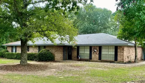 807 El Camino Dr, Grapeland, TX 75844