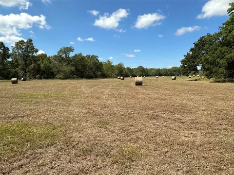 0 Fm 1774, Plantersville, TX 77363
