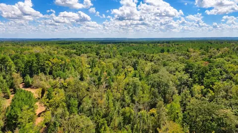 108241000 County Road 2913, Alto, TX 75925