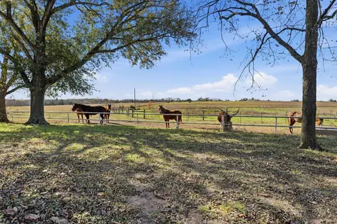 6921 Schulz Ln, Bleiblerville, TX 78931
