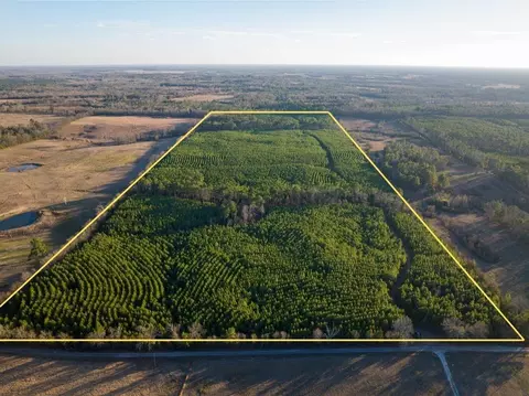 T-7 Cr 4415, Annona, TX 75559