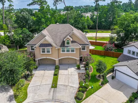 View/Area - 226 Skybranch Ct, Conroe, TX 77304 photo 4 of 8