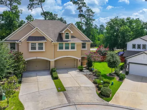 View/Area - 226 Skybranch Ct, Conroe, TX 77304 photo 3 of 8