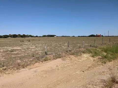 tbd County Road Rd, Weimar, TX 78962 photo 8