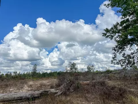 4 Fm 92, Spurger, TX 77660 photo 8