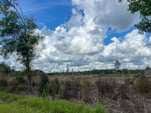 4 Fm 92, Spurger, TX 77660 photo 13