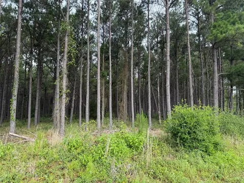 162 Taylor Trl, Lovelady, TX 75851