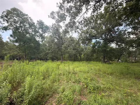 0 County Road 6502 W, Dayton, TX 77535