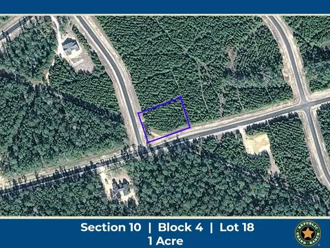 15797 Forest Grove Dr, Willis, TX 77378